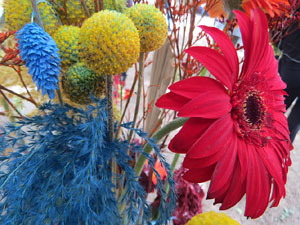 Temps de Flors 2025. Jardins del doctor Figueras