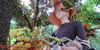 Jardins del doctor Figueras
