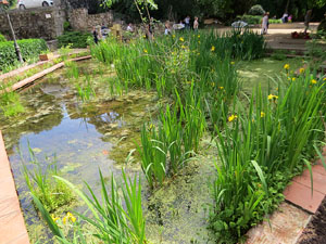 Temps de Flors 2025. Jardins del doctor Figueras. Font