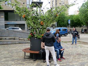 Temps de Flors 2025. El Jardí de la Infància
