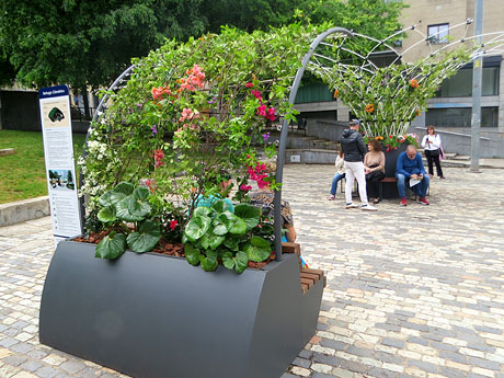 Temps de Flors 2025. El Jardí de la Infància