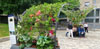 El Jardí de la Infància