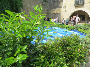 Temps de Flors 2025. Pla&ccedil;a dels Jurats