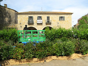 Temps de Flors 2025. Pla&ccedil;a dels Jurats