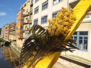 Temps de Flors 2025. Making of de l'esdeveniment