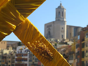 Temps de Flors 2025. Making of de l'esdeveniment
