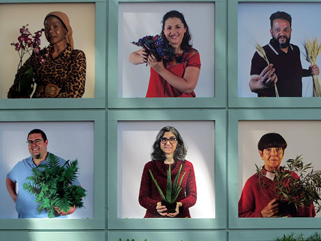 Temps de Flors 2025. Mirador Llu&iacute;s Maria de Puig i Oliv&eacute;