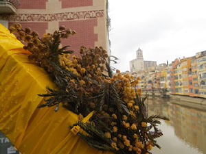 Temps de Flors 2025. El pont de les Peixateries Velles