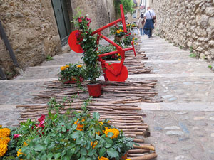 Temps de Flors 2025. Pujada de la Catedral - Escales de la Pera