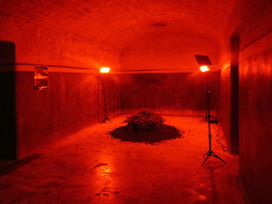 Temps de Flors 2025. Refugi antiaeri