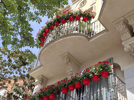 Temps de Flors 2025. Casa Sabater