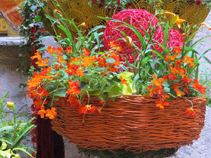 Temps de Flors 2025. Casa Sambola