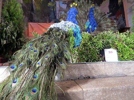 Temps de Flors 2025. Església de Sant Martí