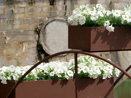 Temps de Flors 2025. Avinguda Sant Francesc