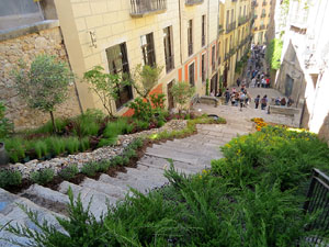 Temps de Flors 2025. Escales de l'església de Sant Martí