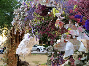 Temps de Flors 2025. Centre C&iacute;vic de Santa Eug&egrave;nia