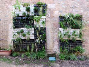 Temps de Flors 2025. Centre C&iacute;vic de Santa Eug&egrave;nia