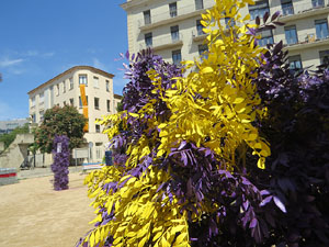 Temps de Flors 2025. Pla&ccedil;a de Santa Susanna