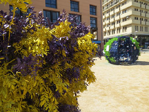 Temps de Flors 2025. Pla&ccedil;a de Santa Susanna