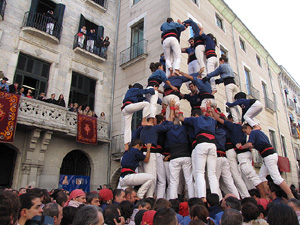 Ampliar