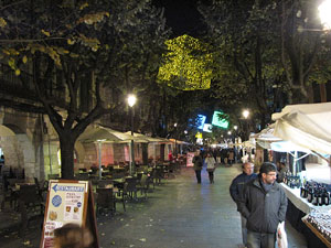 Comer&ccedil; de nit - Shopping Night