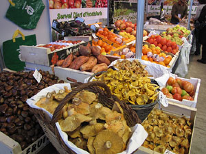 La Fira de Mostres a Fira de Girona