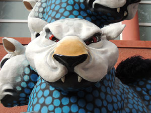 Trobada de gegants: la ballada