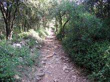 Camí de Sant Miquel