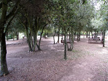 Àrea de picnic i esbarjo