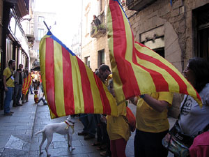 Ambient a Girona i preparaci&oacute; de la Via Catalana