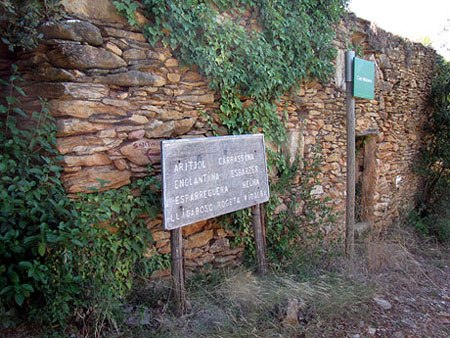 Restes de la masia de Cal Mistaire