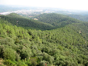 Conjunt arquitectònic del castell de Sant Miquel