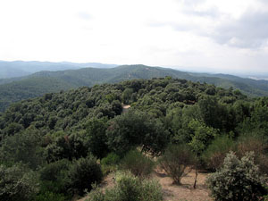 Conjunt arquitectònic del castell de Sant Miquel