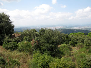 Conjunt arquitectònic del castell de Sant Miquel