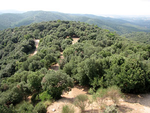 Conjunt arquitectònic del castell de Sant Miquel