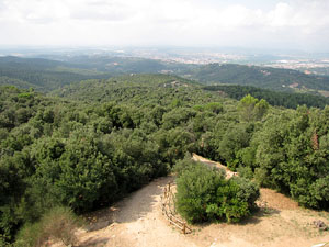 Conjunt arquitectònic del castell de Sant Miquel