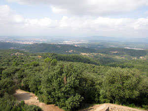 Conjunt arquitectònic del castell de Sant Miquel