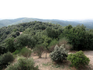 El massís de les Gavarres des del castell de Sant Miquel