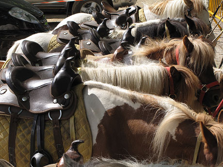 La Cavalcada de Sant Antoni 2013