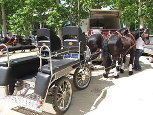 La Cavalcada de Sant Antoni 2013