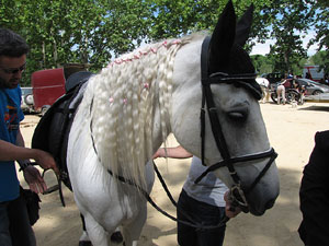 La Cavalcada de Sant Antoni 2013