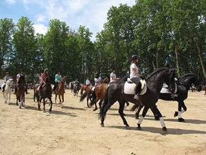 La Cavalcada de Sant Antoni 2013