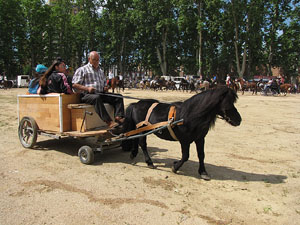 La Cavalcada de Sant Antoni 2013
