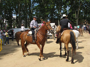 La Cavalcada de Sant Antoni 2013