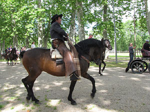 La Cavalcada de Sant Antoni 2013