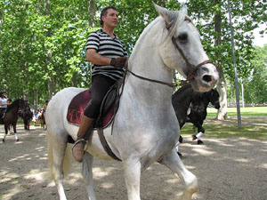 La Cavalcada de Sant Antoni 2013