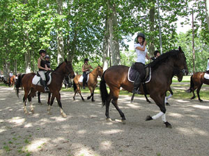 La Cavalcada de Sant Antoni 2013