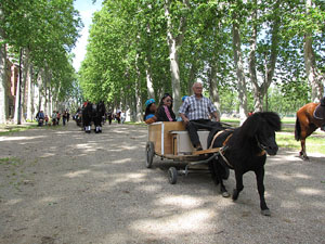 La Cavalcada de Sant Antoni 2013