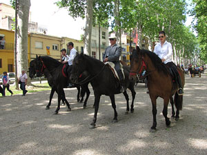 La Cavalcada de Sant Antoni 2013