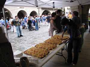Arribada de la Flama del Canig&oacute; 2013